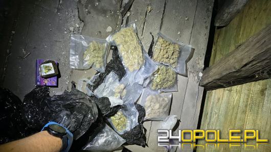 Ponad pół kilograma marihuany i haszysz zabezpieczone w Prudniku