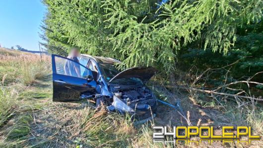 Mitsubishi wypadło z autostrady A4 i uderzyło w ogrodzenie