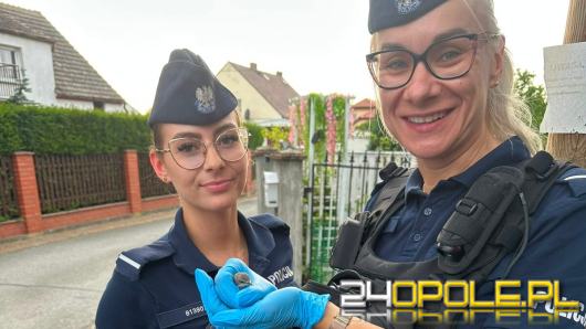 Ozimscy policjanci ruszyli na pomoc. Nietypowy "poszkodowany" nie mógł odlecieć