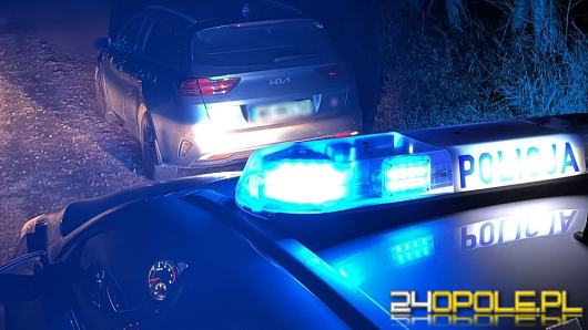 "Wężyk" zakończył jazdę. Ponad 2 promile i auto warte około 90 tysięcy złotych