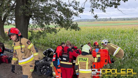 Samochód uderzył w drzewo. Kierowca trafił do szpitala śmigłowcem LPR