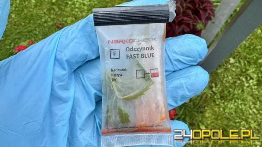 Miały być pomidory, wyrosły problemy. Działkowiec poszerzył repertuar