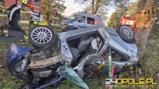 Tragiczny wypadek na DW407. Samochód uderzył w drzewo