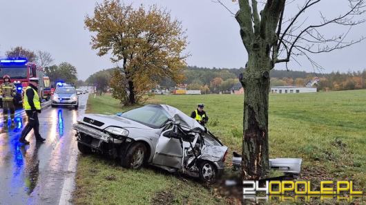 18-latka doprowadziła do wypadku - nyscy policjanci wyjaśniają przyczyny