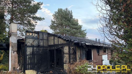 Pożar budynku w Jemielnicy. Nie żyje 19 psów i kotów