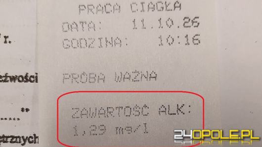 69-latek miał blisko 3 promile alkoholu. Policjanci zatrzymali go na DK45