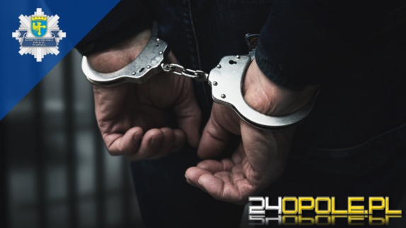 Areszt dla sprawcy przemocy domowej - miał dopuścić się przemocy fizycznej wobec żony
