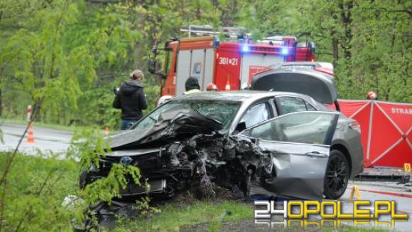 Opolska Policja szuka świadków śmiertelnego wypadku 