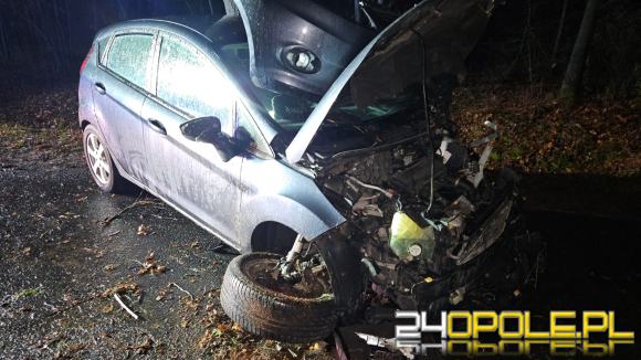 Wypadek w Dąbrówce Łubniańskiej. Kierowca trafił do szpitala