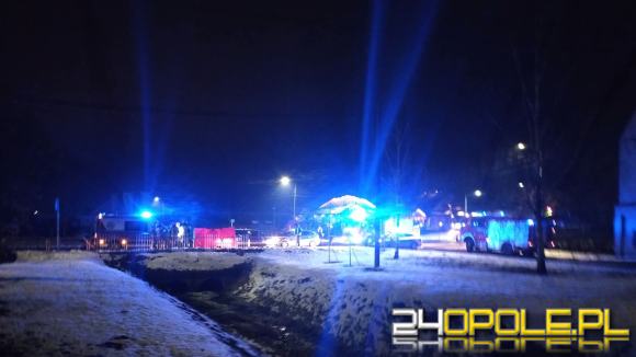 Śmiertelne potrącenie na DK11 w Krzywiźnie. Droga całkowicie zablokowana WIDEO