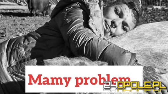 Ponad 150 świń i dziesiątki zbiórek. Pomoc czy sposób na zarobek? Fundacja po lupą