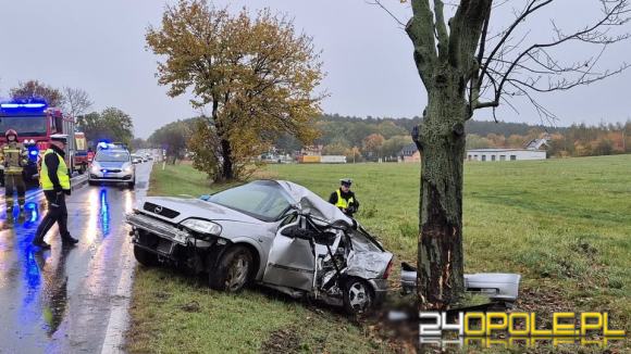 18-latka doprowadziła do wypadku - nyscy policjanci wyjaśniają przyczyny