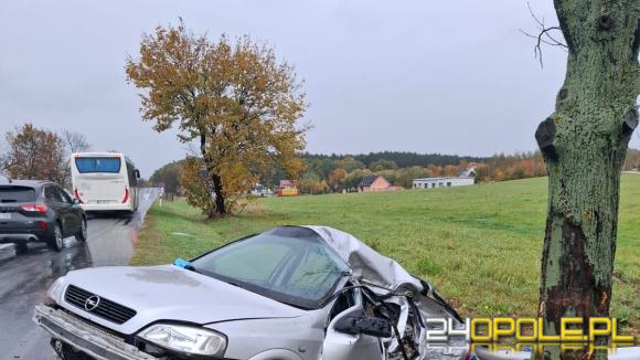 18-latka uderzyła oplem w drzewo. W samochodzie było dwóch 15-latków