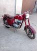 Jawa kiwaczka 250