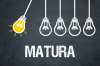 Osoba lub osoby poszukiwana do przygotowania do matury Angielski Polski Matematyka 