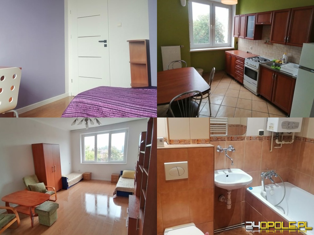Wynajmę mieszkanie studenckie dwupokojowe 50m2 w centrum Opola