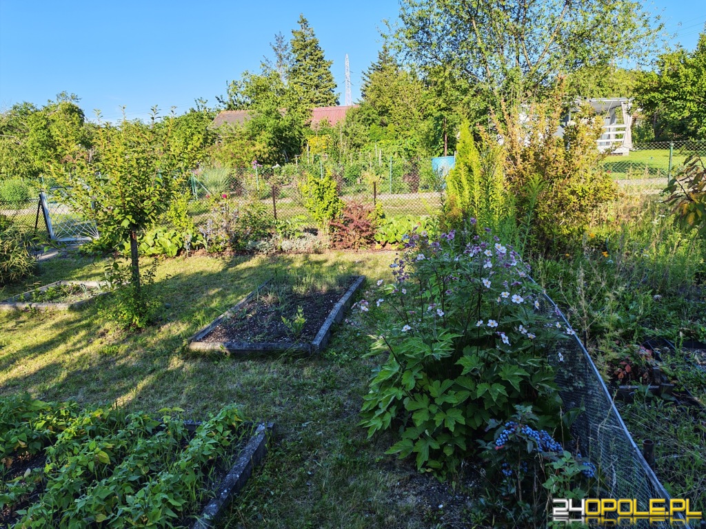 Działka Rod Chabry ul. Harcerska 300m2
