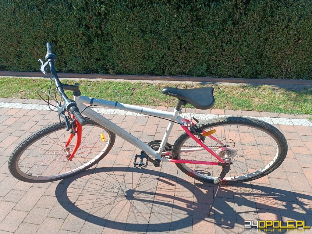 Rower za 50 zl