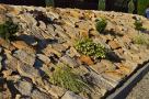 Kamień do ogrodu ogrodowy na skarpy płaski łupek naturalny piaskowiec