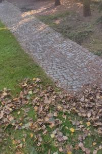 Grabienie, usuwanie liści, sprzątanie odkurzanie ogrodu,