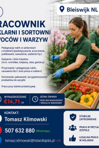 Praca Holandia szklarnia/sortownia