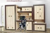 Meble dla nastolatka z biurkiem
