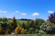 Wertykulacja, koszenie, przycinanie żywopłotu, grabienie, zamiatanie