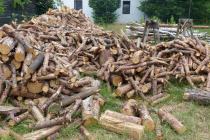 zrębki drzewne palety