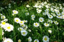 Działka budowlana - idealne miejsce na Twój dom!