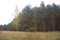 Bardzo ładna działka w zacisznym miejscu