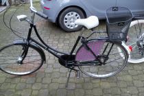 Holenderska Damka z koszykiem  koła 26 .