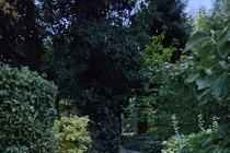 Zieleń, która robi dobre wrażenie :kompleksowa obsługa