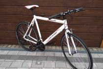 Rower szosowy XXL 