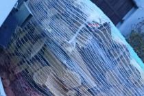 Drewno kominkowe 2 palety