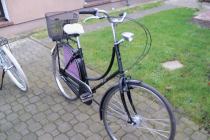 Holenderska Damka z koszykiem  koła 26 .