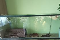 Sprzedam terrarium 