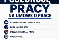 Poszukuję pracy na umowę o pracę 
