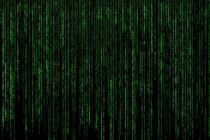 Strony internetowe i sklepy online dla firm w Opolu, Rzeszowie i okolicach | mocne SEO i indywidualn