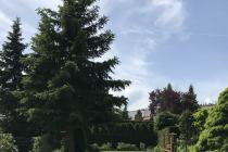 Ogród, rośliny 