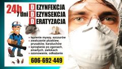 Myszy, szczury - zwalczanie, usuwanie DERATYZACJA opolskie 606.692.449 - 24/7