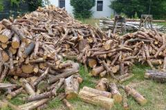 zrębki drzewne palety