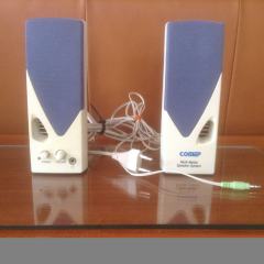 Głośniki COMEP mutimedialne z wbudowanym wzmacniaczem.