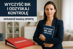Wyczyścimy Twój BIK, BIG i KRD