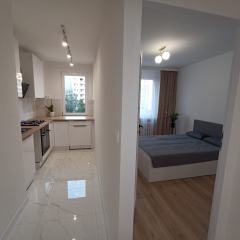 Mieszkanie 2 pokoje, balkon, po generalnym remoncie Armii Krajowej 51m2