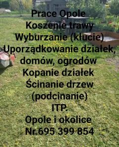 Opole i okolice 