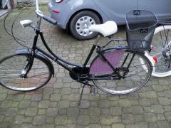 Holenderska Damka z koszykiem  koła 28 .