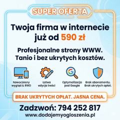 Strona internetowa już od 590 zł - BEZ PRZEPŁACANIA! + DODAWANIE OGŁOSZEŃ