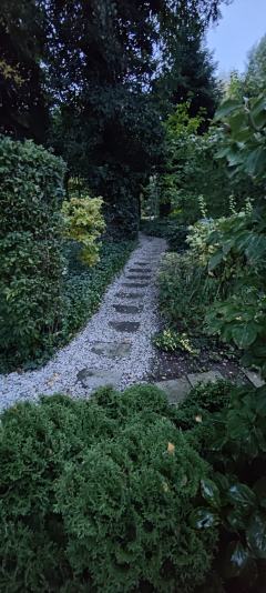 Zieleń, która robi dobre wrażenie :kompleksowa obsługa