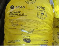 1550zł Groszek Jowisz 24-26MJ