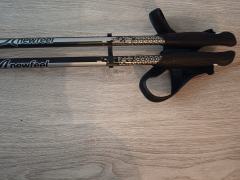 kije do nordic wolkingu